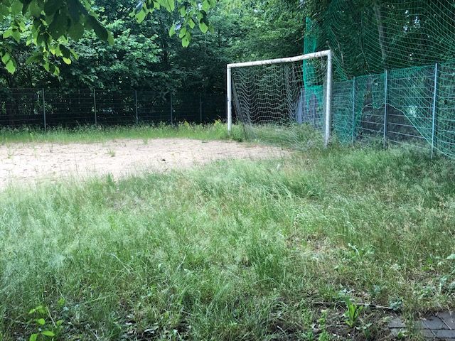 Foto: Rasenfläche und Fußballtor 